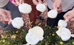 绿巨人忘忧草丝瓜秋葵黄